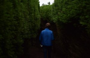 man in blue puffer walking down tall hedge maze