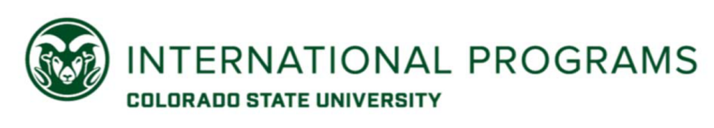 International Programs Logo