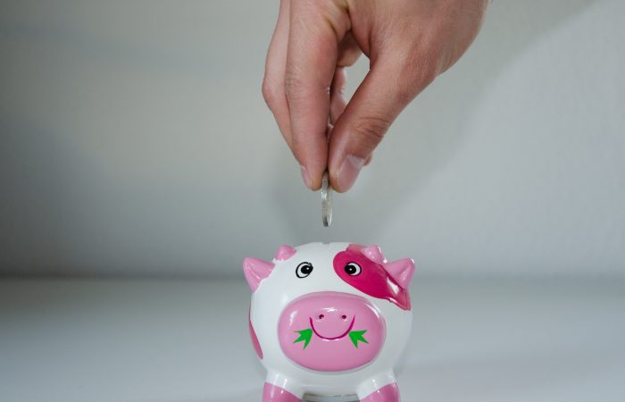 hand putting coin into piggy bank