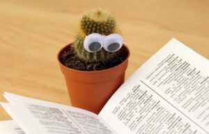 A cactus reading a book