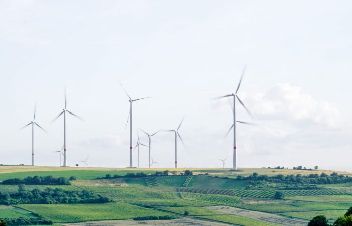 Wind turbines lining the fields