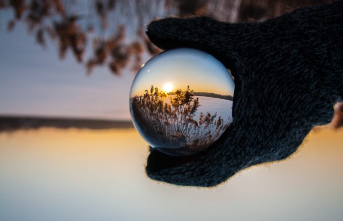 Magnifying glass showing nature